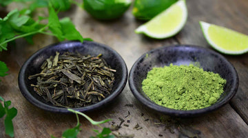 Green Tea for Blood Circulation: 3 Amazing Secrets How a Cuppa Can Help You Live Longest