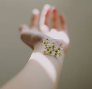 white flowers on the girl hand
