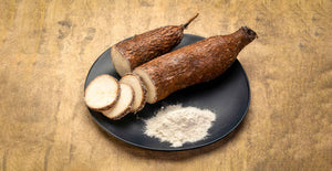 Rare Tapioca What Are the Tapioca Types? Everything You Need to Know Now about Tapi ...
