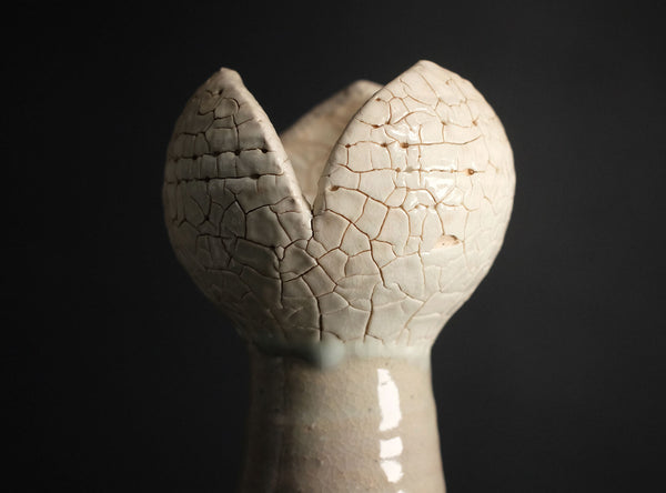 A close-up of a ceramic vase with a unique, sculptural top resembling two large, bud-like shapes with a prominent crackle glaze, set against a solid black background.