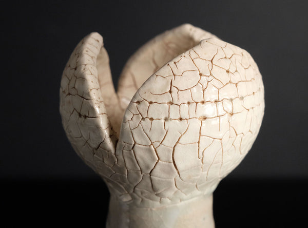 A close-up of a ceramic vase with a unique, sculptural top resembling two large, bud-like shapes with a prominent crackle glaze, set against a solid black background.
