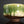 將圖片載入到圖庫檢視器中， Green ceramic bowl on a reflective surface with a dark background
