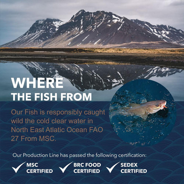 Where the fish from,North East Atlantic Ocean FAO 27 From MSC, Atlantic Cod Fish Maw, MSC Certified