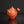 Load image into Gallery viewer, Terracotta teapot on a reflective black surface with a dark background
