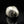 將圖片載入到圖庫檢視器中， Silver rabbit-shaped object on a black background
