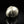 將圖片載入到圖庫檢視器中， Metallic helmet-like object on a reflective surface with a black background
