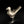 將圖片載入到圖庫檢視器中， A metallic bird-shaped object with a smooth matte finish, featuring a beak, body, and a curved tail opening, photographed on a glossy black reflective surface against a black background.
