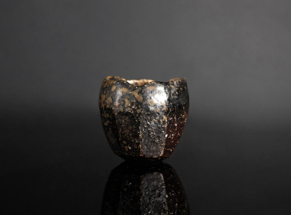 Isezaki Koichiro (伊勢崎晃一朗), Japanese, b. 1974