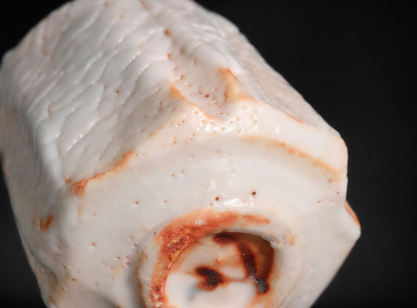 Kato Toyohisa (加藤豊久), Japanese, b. 1962