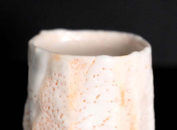 Kato Toyohisa (加藤豊久), Japanese, b. 1962