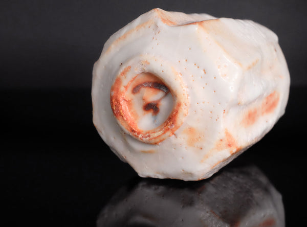 Kato Toyohisa (加藤豊久), Japanese, b. 1962