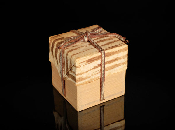 Hayashi Shotaro (林正太郎), Japanese (b. 1947)