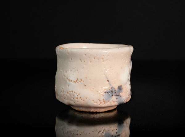 Hayashi Shotaro (林正太郎), Japanese (b. 1947)