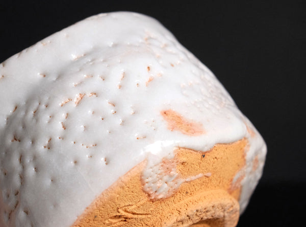 Ryoji Hayashi (林亮次), Japanese, b.1940