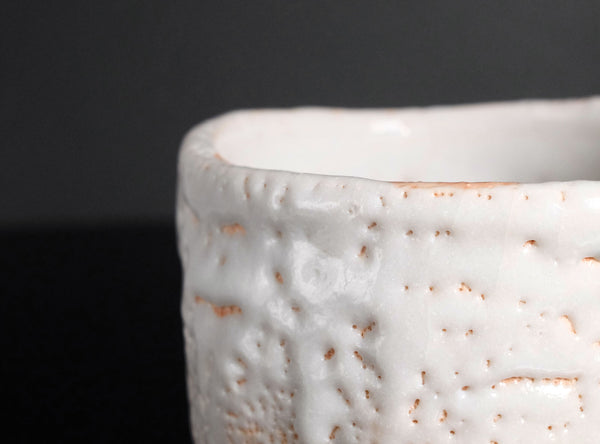 Ryoji Hayashi (林亮次), Japanese, b.1940