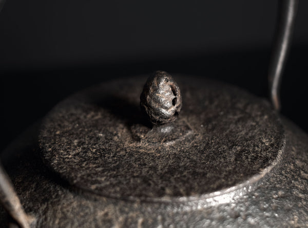 Koizumi Nizaemon (小泉仁左衛門), Japanese