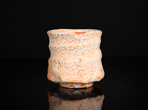 Hayashi Shotaro (林正太郎), Japanese (b. 1947)