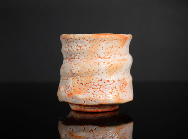 Hayashi Shotaro (林正太郎), Japanese (b. 1947)