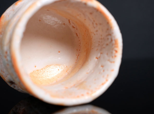 Hayashi Shotaro (林正太郎), Japanese (b. 1947)