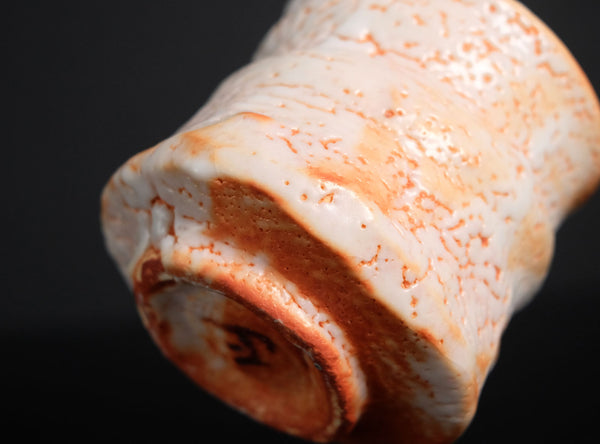 Hayashi Shotaro (林正太郎), Japanese (b. 1947)