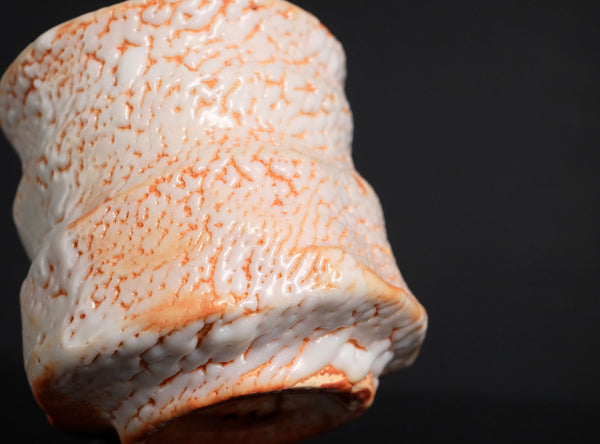 Hayashi Shotaro (林正太郎), Japanese (b. 1947)