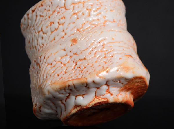 Hayashi Shotaro (林正太郎), Japanese (b. 1947)