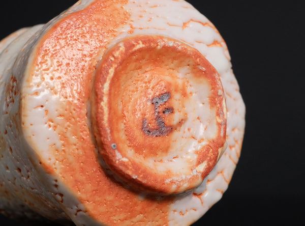 Hayashi Shotaro (林正太郎), Japanese (b. 1947)