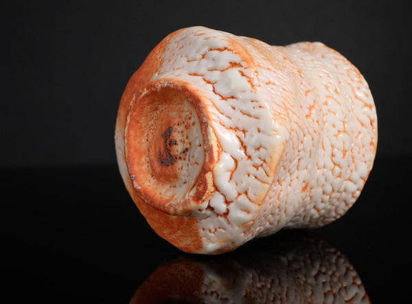 Hayashi Shotaro (林正太郎), Japanese (b. 1947)