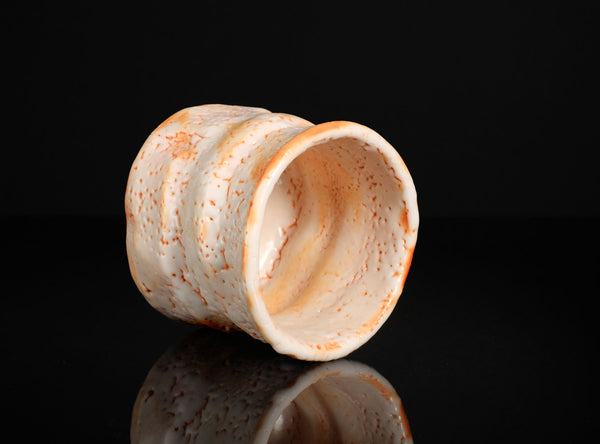 Hayashi Shotaro (林正太郎), Japanese (b. 1947)