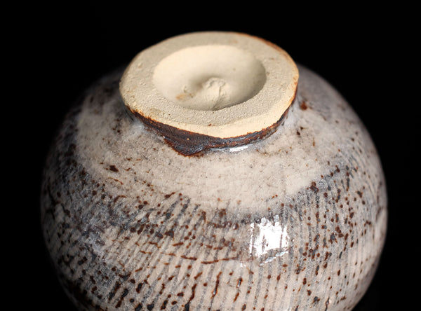 Shoichi Gyo (掌一行), Japanese