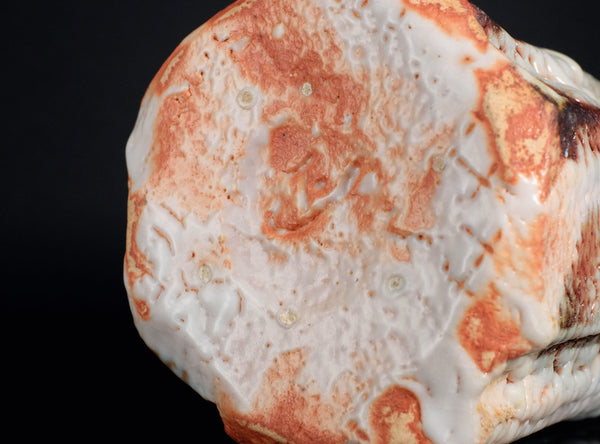 Hayashi Shotaro (林正太郎), Japanese (b. 1947)