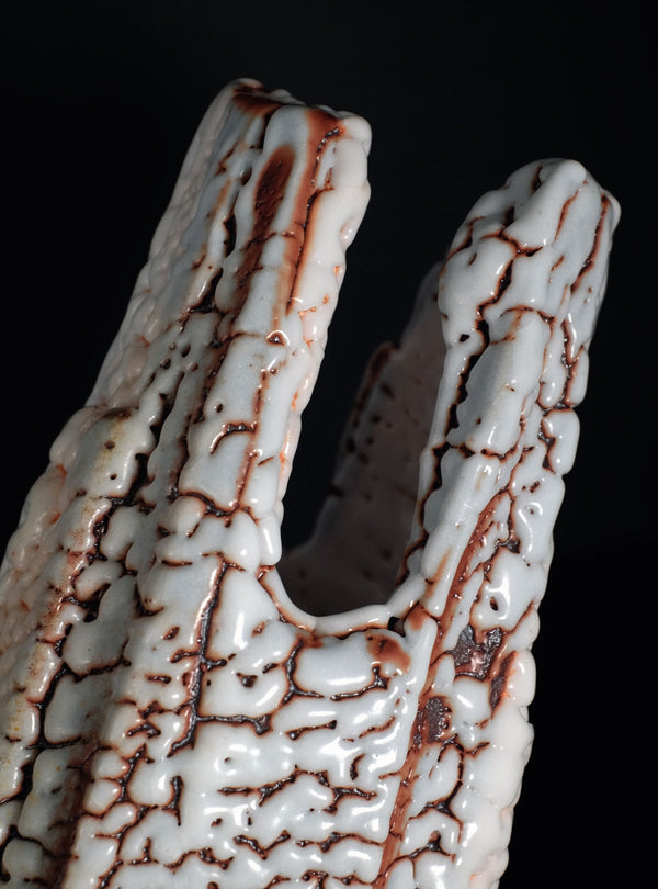 Hayashi Shotaro (林正太郎), Japanese (b. 1947)