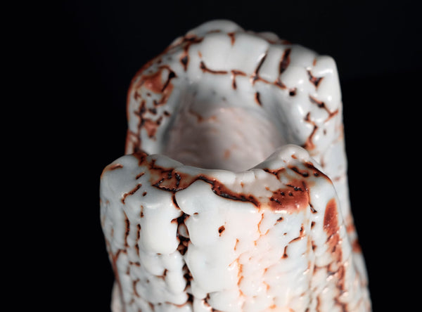 Hayashi Shotaro (林正太郎), Japanese (b. 1947)