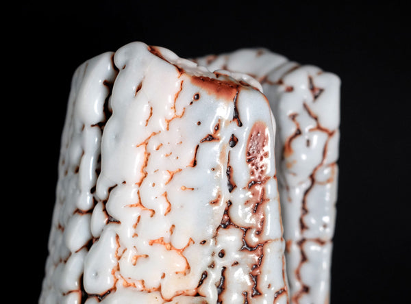 Hayashi Shotaro (林正太郎), Japanese (b. 1947)