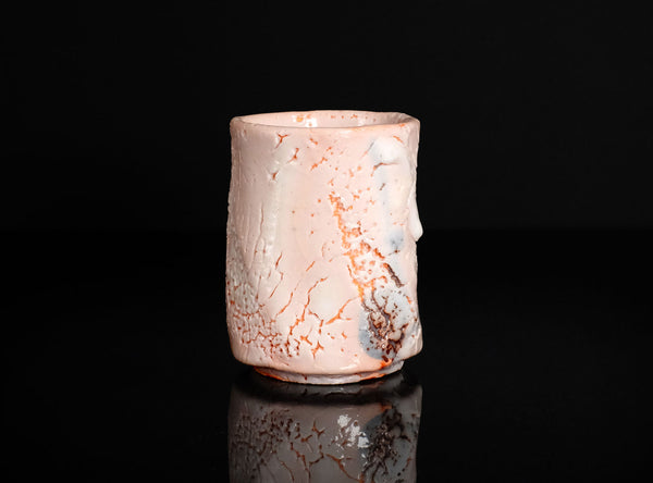 Hayashi Shotaro (林正太郎), Japanese (b. 1947)