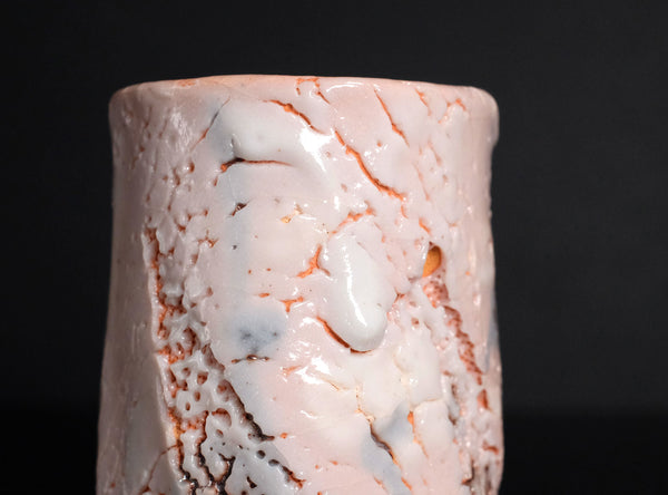 Hayashi Shotaro (林正太郎), Japanese (b. 1947)