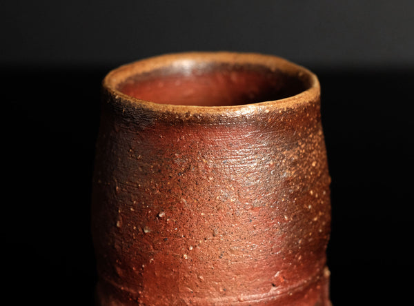 Kakurezaki Ryuichi (隠崎隆一) Japanese, b. 1950