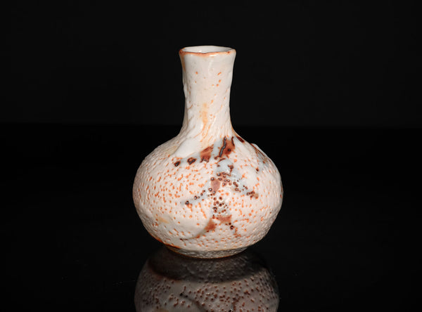 Hayashi Shotaro (林正太郎), Japanese (b. 1947)