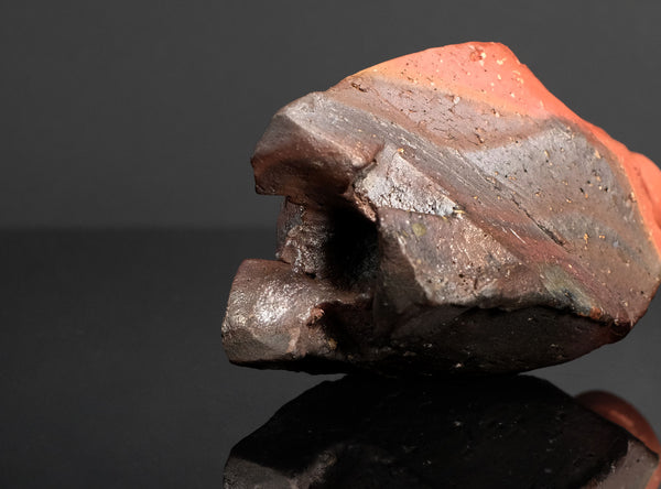 Kakurezaki Ryuichi (隠崎隆一) Japanese, b. 1950