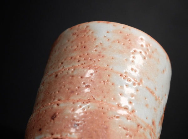 Ken Matsuzaki (松崎健), Japanese (b. 1950)