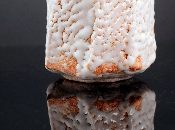 Hayashi Shotaro (林正太郎), Japanese (b. 1947)