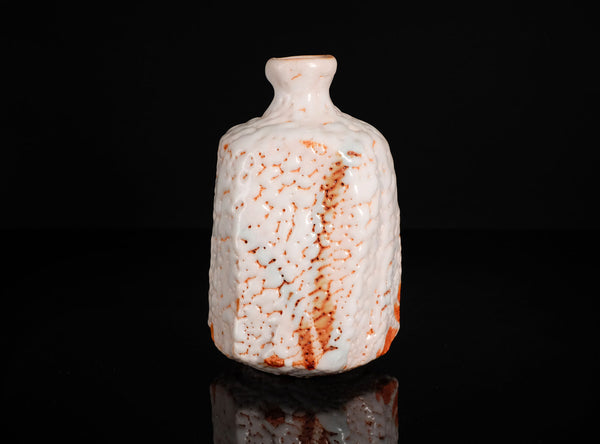 Hayashi Shotaro (林正太郎), Japanese (b. 1947)