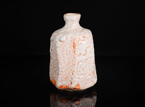 Hayashi Shotaro (林正太郎), Japanese (b. 1947)