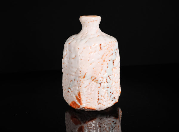 Hayashi Shotaro (林正太郎), Japanese (b. 1947)