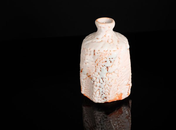 Hayashi Shotaro (林正太郎), Japanese (b. 1947)