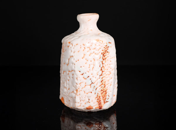 Hayashi Shotaro (林正太郎), Japanese (b. 1947)