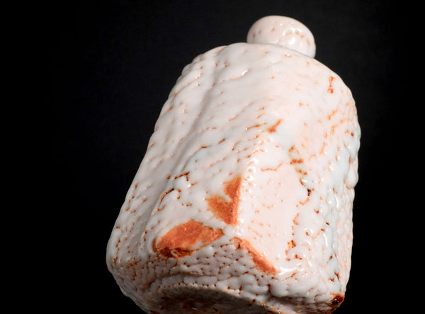 Hayashi Shotaro (林正太郎), Japanese (b. 1947)