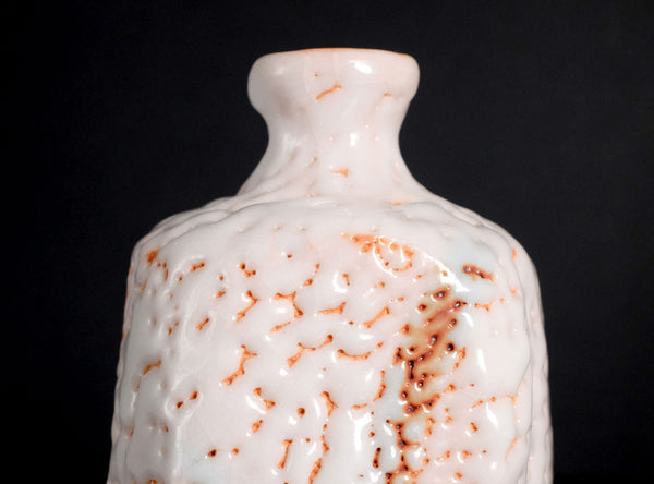 Hayashi Shotaro (林正太郎), Japanese (b. 1947)