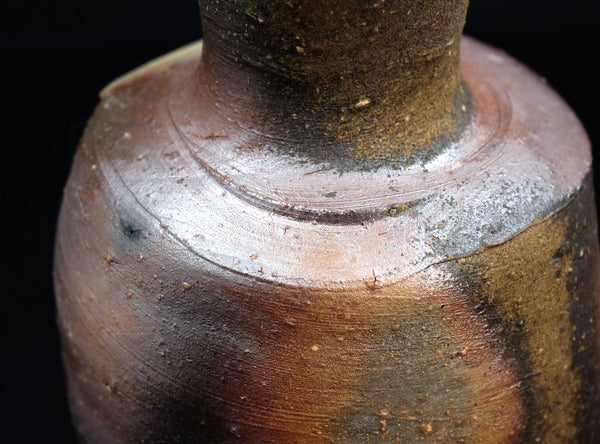 Kakurezaki Ryuichi (隠崎隆一) Japanese, b. 1950