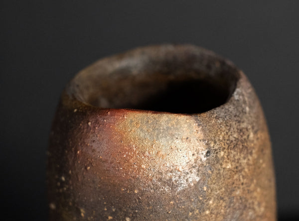 Kakurezaki Ryuichi (隠崎隆一) Japanese, b. 1950